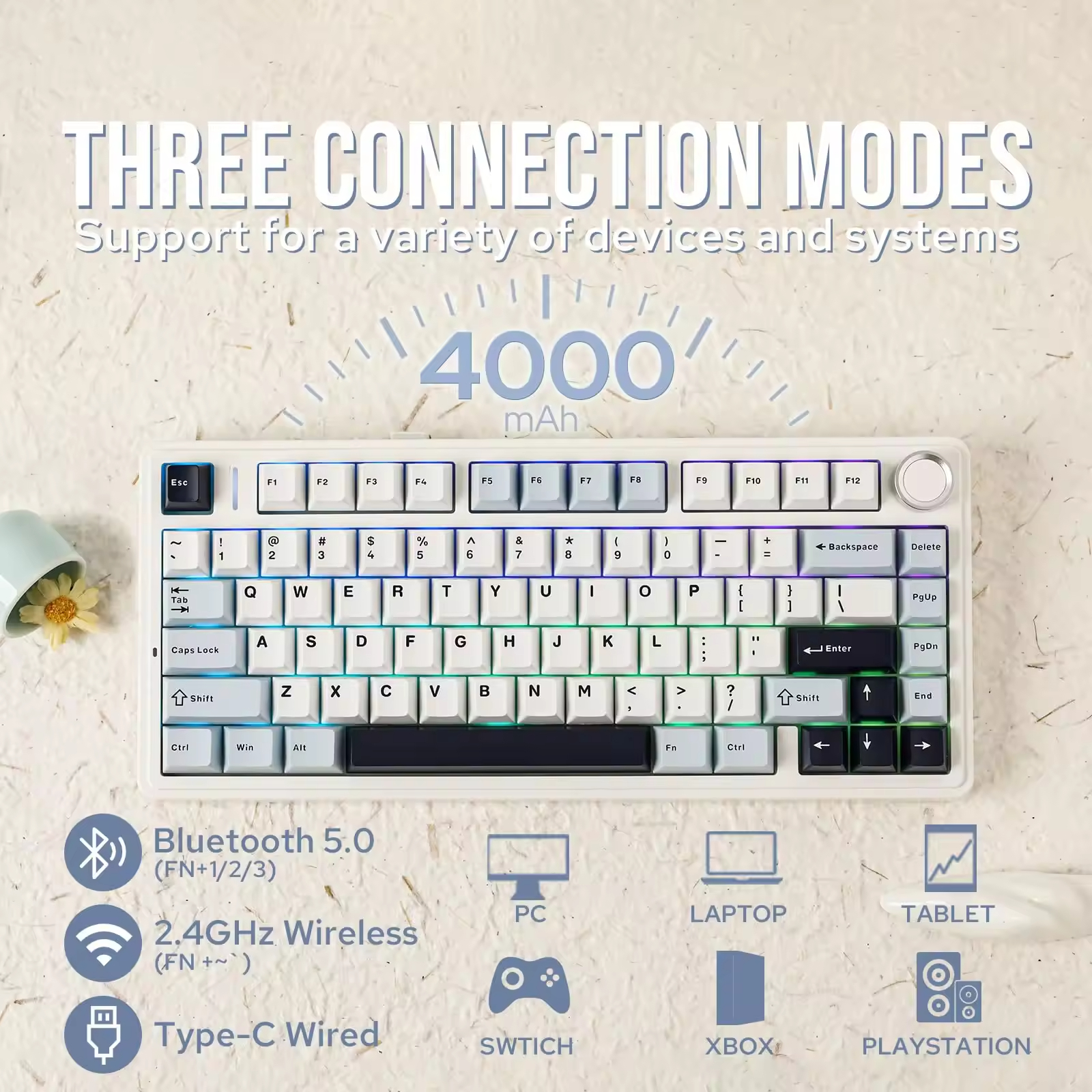 Shopping Sites International W - Gaming Accessories Shop avaliação e preço